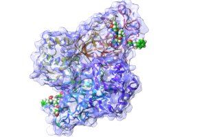 La Universitat de València utilizará 23 millones de horas del superordenador MareNostrum 4 para conseguir el bloqueo de una proteína del virus SARS-CoV-2