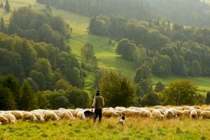 Conoce las reducciones del IRPF a agricultores y ganaderos en la Comunitat