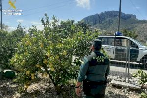 Denunciados siete jóvenes que fueron sorprendidos por la Guardia Civil haciendo una barbacoa en Alicante