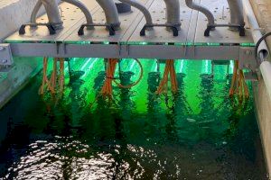 Tratamiento terciario de desinfección de aguas residuales. / Foto: Ana Allende CEBAS-CSIC