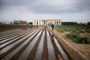 Justificants perquè els agricultors puguen eixir de casa i desplaçar-se al camp