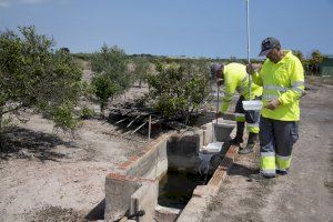 La Diputació intensifica els tractaments contra el mosquit tigre a la província de Castelló