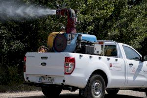 Castelló intensifica el cap de setmana els tractaments contra el mosquit tigre en tota la província