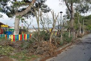 Trabajo intensivo de poda de seguridad en La Encina