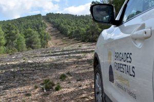 Las brigadas forestales de Diputació retoman las tareas de vigilancia para prevenir incendios forestales