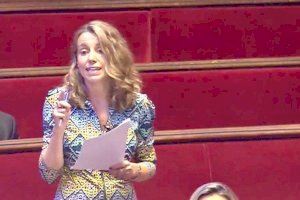 Climent (PP): “Es imprescindible mantener las ayudas del Cheque Escolar para garantizar la oferta educativa de la red de  Escuelas Infantiles de Valencia”