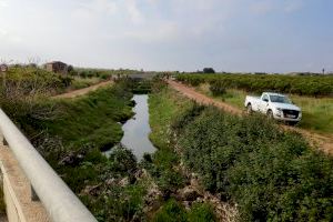 L'Ajuntament de Vila-real intensifica els tractaments contra els mosquits després de les recents pluges