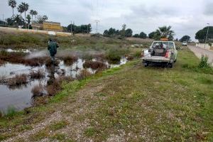 Benicàssim intensifica el tratamiento contra los mosquitos en el Cuadro de Santiago