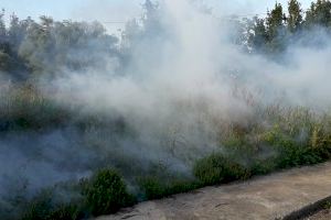 Burriana ha intensificado el tratamiento contra los mosquitos