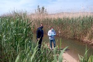 El Ayuntamiento de Peñíscola programa el dragado del sistema de acequias del marjal para evitar inundaciones