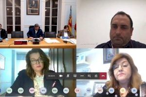El Ayuntamiento de Crevillent celebra su Pleno ordinario de abril por videoconferencia - (foto 2)