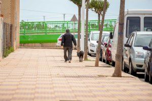 Cullera obliga a limpiar con agua y jabón los orines de los perros Cullera obliga a limpiar con agua y jabón los orines de los perros