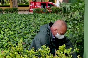 El Ayuntamiento de Sueca desratiza y desinsecta varias zonas de la ciudad