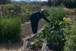 Novelda reabre las instalaciones de los Huertos Ecológicos