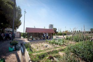 València reobri entre este dissabte i dilluns els horts urbans amb condicions d’entrada i ús durant l’Estat d’Alarma per la COVID-19