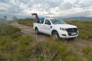 L'Ajuntament de Sagunt continua amb els tractaments contra mosquits i altres insectes en el municipi