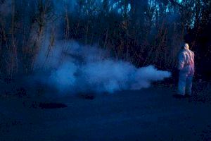 El Ayuntamiento de Sagunto continúa con los tratamientos contra mosquitos y otros insectos en el municipio - (foto 2)