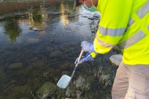El Ayuntamiento de Sagunto continúa con los tratamientos contra mosquitos y otros insectos en el municipio - (foto 4)