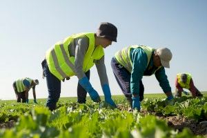 Los empleados de Florette colaboran en la lucha del coronavirus