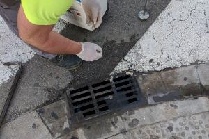 Benetússer refuerza los tratamientos contra el mosquito tigre