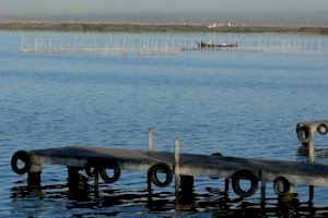 El PSPV-PSOE pide formalizar un protocolo para utilizar los excedentes hídricos de l’Assut del Repartiment para regenerar el agua en l’Albufera