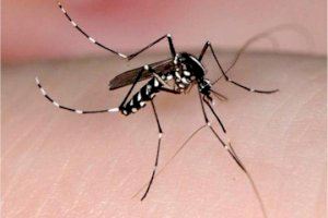 Onda inicia el tratamiento contra el mosquito tigre con la desinfección de las zonas susceptibles de la ciudad