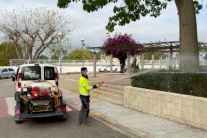 Massalavés inicia el tractament contra el mosquit tigre i la mosca negra en les zones de major risc