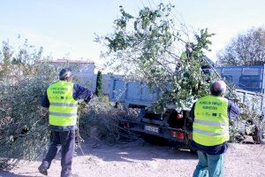 Almassora amplía el servicio gratuito de recogida de poda hasta los siete meses