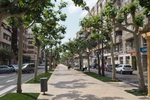 El Ayuntamiento de Orihuela peatonaliza la Avenida Teodomiro para facilitar la movilidad de los peatones