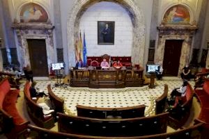 València ha tramitado, desde 2016, un total de 277 expedientes por daños al patrimonio arbóreo