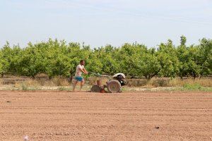 Els agricultors valencians han deixat d'ingressar 300 milions d'euros pel veto rus a les produccions comunitàries