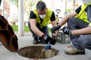 Tratamiento preventivos contra las plagas en Paiporta