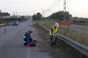 Alberic contratará a 82 trabajadores del régimen agrario