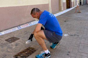 Sant Jordi intensifica la campaña contra el mosquito tigre