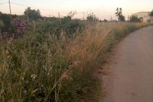 El PSPV-PSOE d'Onda exigeix a l'alcaldessa del PP que condicione els camins rurals - (foto 2)