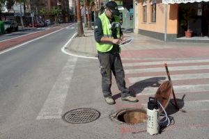 Benifaió adelanta la campaña del control de plagas al mes de mayo