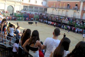 Nules insta a la Generalitat Valenciana a ajudar al sector de la ramaderia davant la suspensió en molts pobles dels bous al carrer