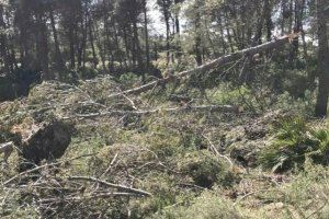 Adsuara advierte del peligro de incendios en los montes ante "la falta de medios mecánicos que tienen los brigadistas de Divalterra"