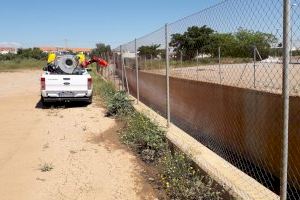 La Concejalía de Sanidad refuerza en Vila-real el tratamiento contra los mosquitos con la llegada de las altas temperaturas