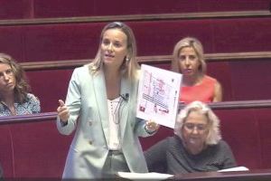 Llobet (PP) reclama apoyo público para acometer en Valencia la trasformación digital que exige la lucha contra el COVID19