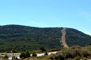 Morella licita els aprofitaments forestals de fusta i les obres de rehabilitació de murs