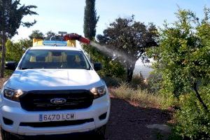 L´Ajuntament d´Almenara fumiga contra el mosquit de "les paleres"