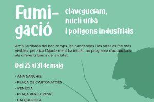 Alzira enceta una campanya de fumigació del clavegueram contra panderoles i rates - (foto 2)
