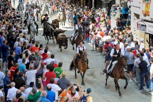 Suspendida la Entrada de Toros y Caballos de Segorbe