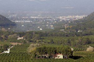 Alzira obri el període extraordinari per a les cremes agrícoles excepcionals