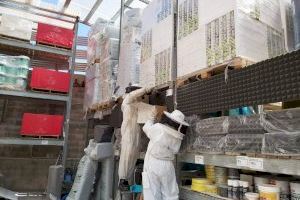 Retiren un eixam amb milers d'abelles d'una botiga d'un centre comercial d'Alacant - (foto 3)