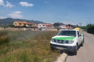 Benicàssim intensifica els tractaments contra els mosquits actuant de manera diària