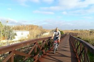 El Ayuntamiento de Peñíscola interviene en la limpieza del marjal y pide a la Generalitat doble pasarela de madera para el recorrido medioambiental que lleva a la zona escolar