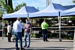 Xus Madrigal: “Vamos a destinar medio millón de euros para el renacimiento de Vila-real” - (foto 2)