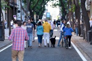 Ciudadanos propone incorporar perros para la detección precoz de la COVID-19